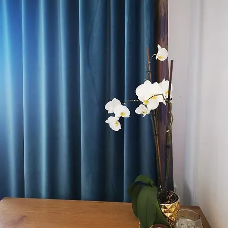 Art Apartment Brasov